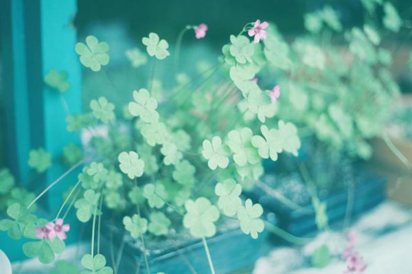 男生不回你信息说明什么