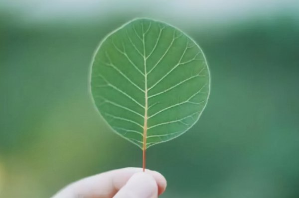 男生不回你信息说明什么