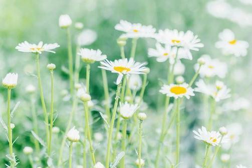 男生不回你信息说明什么