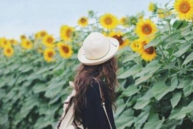 男生不回你信息说明什么