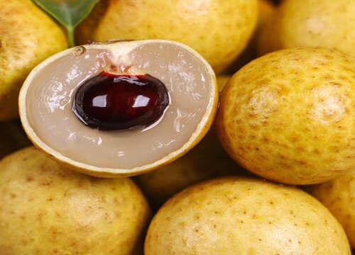 龙眼什么时候上市