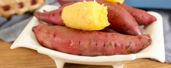 红薯冬天怎么种植