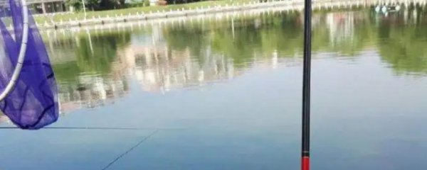 钓鱼怎样判断鱼竿的好坏