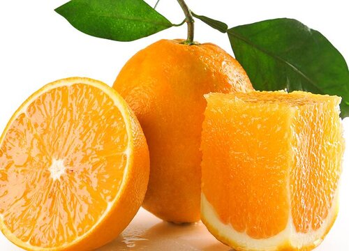 冬季的水果有哪些