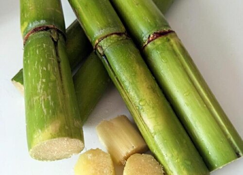 冬季的水果有哪些