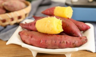 红薯冬天怎么种植 红薯冬天的种植技巧