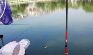 钓鱼怎样判断鱼竿的好坏 两个技巧判断钓鱼竿的好坏