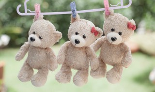 装电池玩具怎么保存不发霉 如何保存装电池玩具