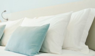 蚕丝枕头的优缺点 蚕丝纤维枕头和蚕丝枕头