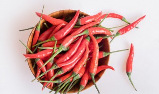 抖辣椒是哪里的名菜 抖辣椒的简介