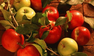 苹果和牛奶能不能一起吃 苹果和牛奶适合一起食用吗