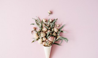 什么花适合送新妈妈呢 送新妈妈什么花好