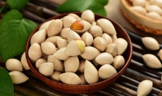 白果能生吃吗 白果是否可以生吃呢