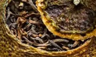 制作小青柑选什么茶叶好 制作小青柑选哪些茶叶好