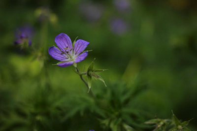 生性懒惰却有富贵命的星座女 这辈子天生富命的星座女