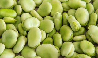 新鲜的蚕豆如何炒好吃 新鲜的蚕豆怎么炒好吃