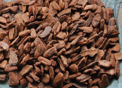 松树皮可以直接养兰花吗 如何用山上捡的松树皮养护兰花