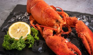 龙虾怎么保鲜和存放 龙虾如何保存