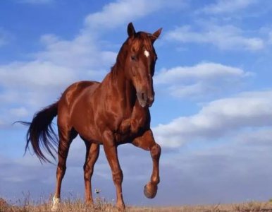 实力是什么意思 一个有实力人的表现包括在哪些方面