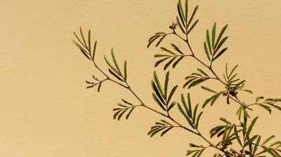 如何化解小人最灵最有效 遇小人时简单快速见效的化解方法