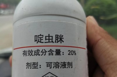 吡虫啉可以和啶虫脒一起使用吗 吡虫啉好还是啶虫脒好