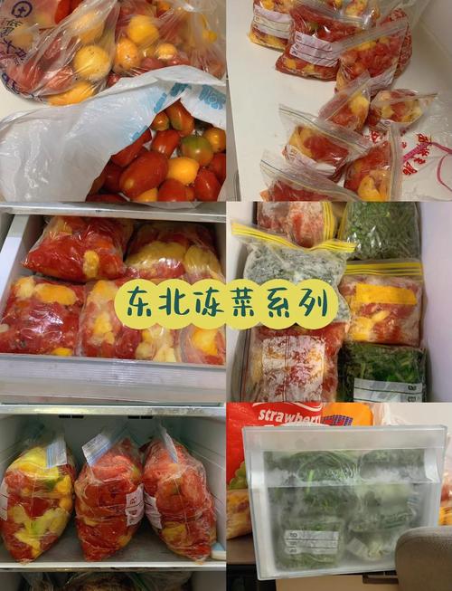 蒸菜能冷冻保存吗（蔬菜肉类解冻要点与口感保护）