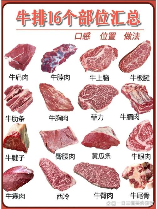 牛肉最嫩的部位图解（里脊最嫩肋条慢炖最香，选购看这三要素）