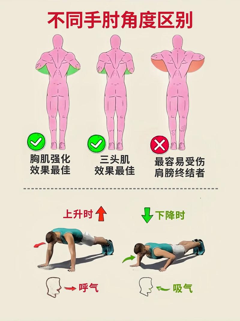 俯卧撑建议天天做吗（每日俯卧撑要分日练变体与休息避免肩肘腕疲劳与疼痛）