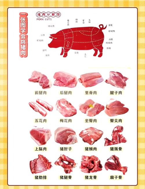 猪身上那个部位肉最嫩（挑选与保存指南）