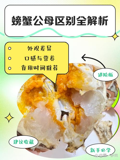 大闸蟹公母对照图解(秋蟹公母辨别与选购要点及烹饪指南) 大闸蟹公母对照图解(秋蟹公母辨别与选购要点及烹饪指南)
