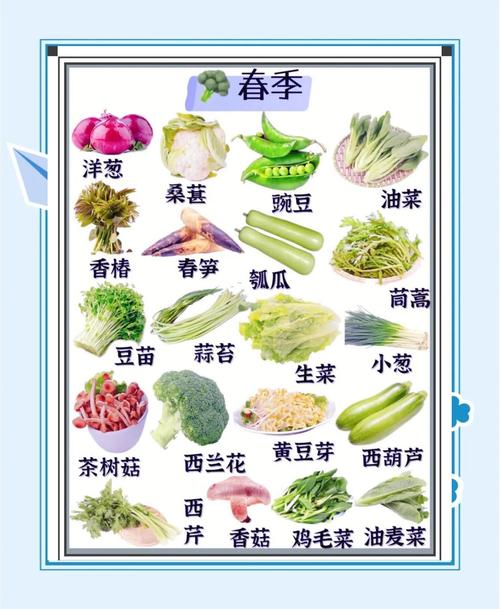 什么蔬菜存放时间久（蔬菜如何保鲜？不同蔬菜的保鲜期与储存要点）