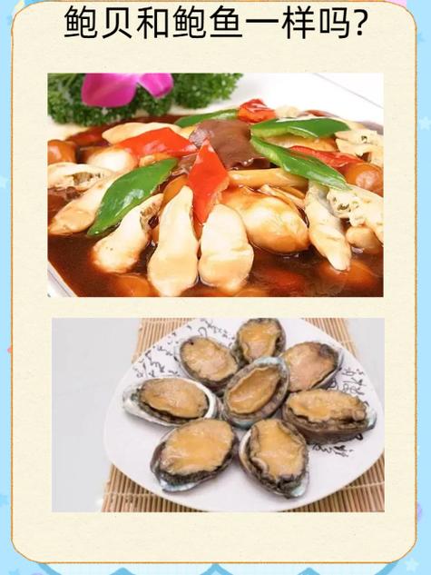 鲍鱼为什么叫鱼不叫贝类（鲍鱼其实是贝类，别称多，药膳与石决明煲吃）