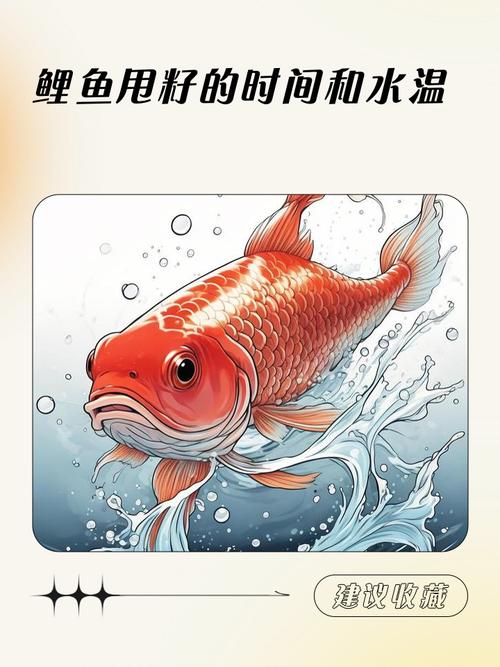 鲤鱼下雨天甩籽吗（鲤鱼区域繁殖节律与产卵要点温度水质管理）