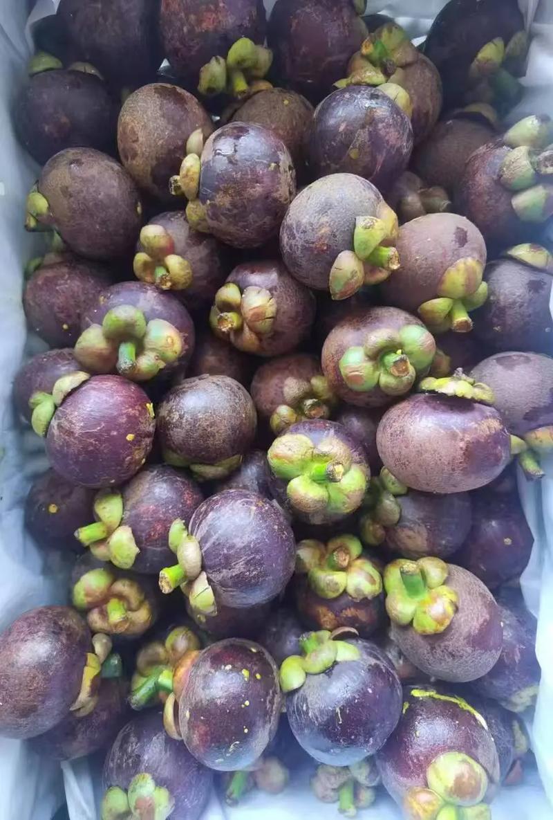 山竹几月份是应季水果（山竹季节地图与选购储存要点）