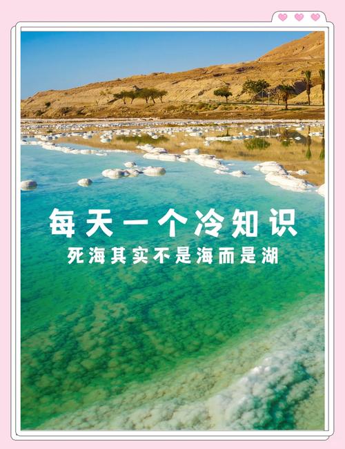 红海就是死海吗（水文地质差异盐度与引水工程）