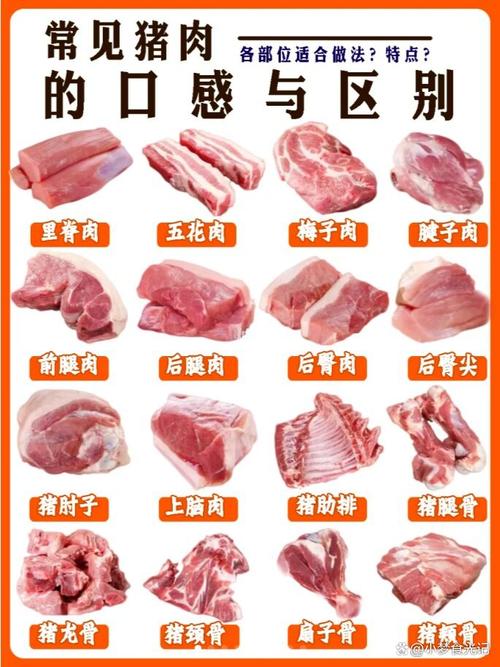 前尖肉属于什么档次（前尖肉选购与烹调要点，了解后尖肉的区别）