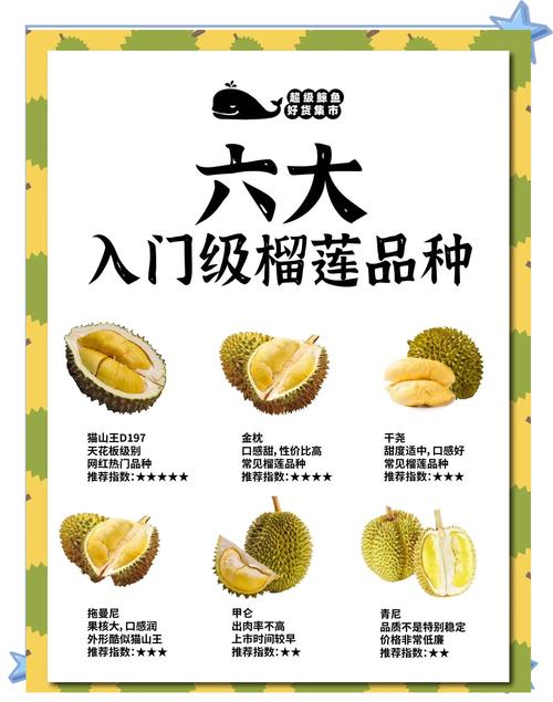 榴莲品种一览表大全（榴莲品种全指南口感产地熟度选购要点）