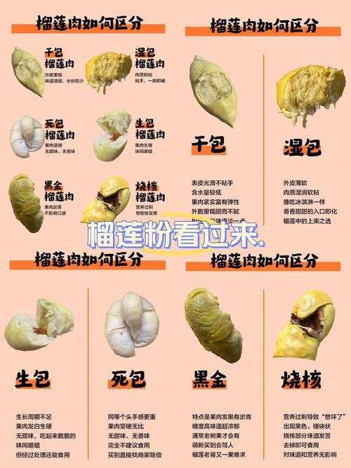 榴莲半生不熟有没有办法补救（室温20-25℃乙烯纸袋冷藏法）