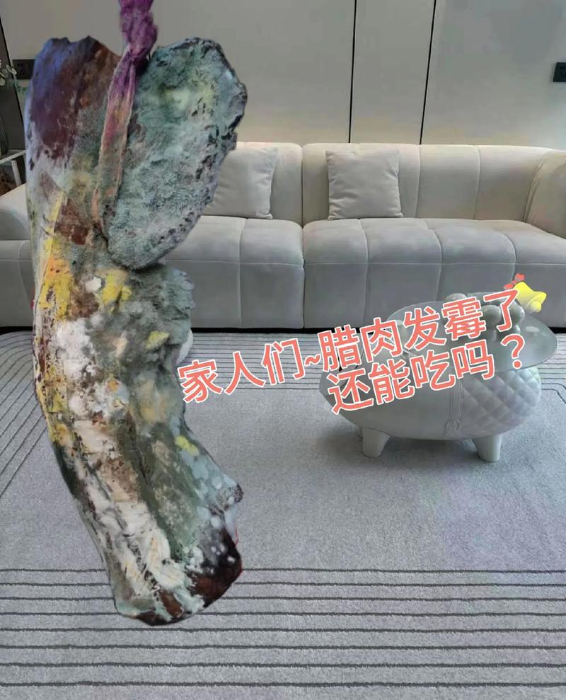 腊肉发霉了还能吃吗（轻微去霉煮熟可食，重度弃用）