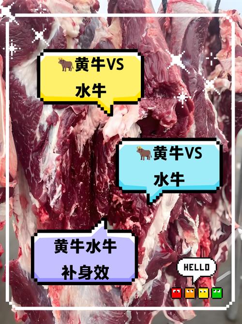 为什么不吃水牛肉（辨别要点购买储存与慢煮建议）