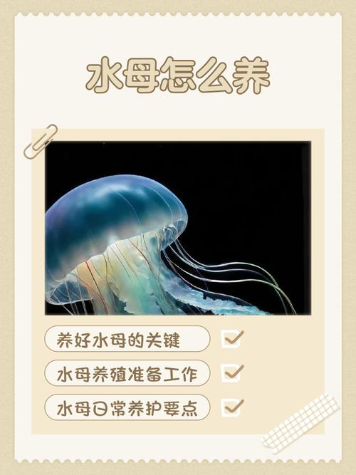 海洋馆的水母能养几天(不同种类寿命差异与稳定水质)