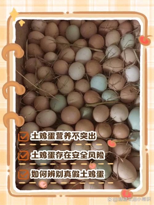 为什么小鸡蛋不能吃（小鸡蛋安全食用与储存要点）