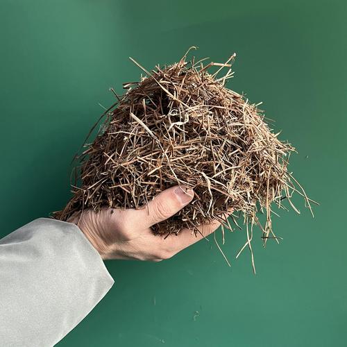 用松针种花用加土吗（松针土发酵腐熟基质适合酸性花卉的常用配比与注意）