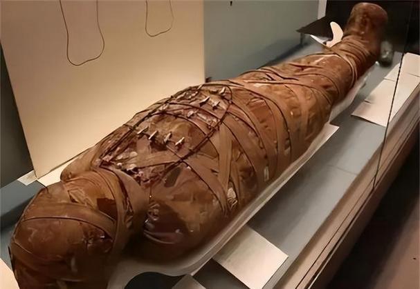 木乃伊被欧洲人吃了吗（错译驱动木乃伊热与市场需求塑造欧洲想象）