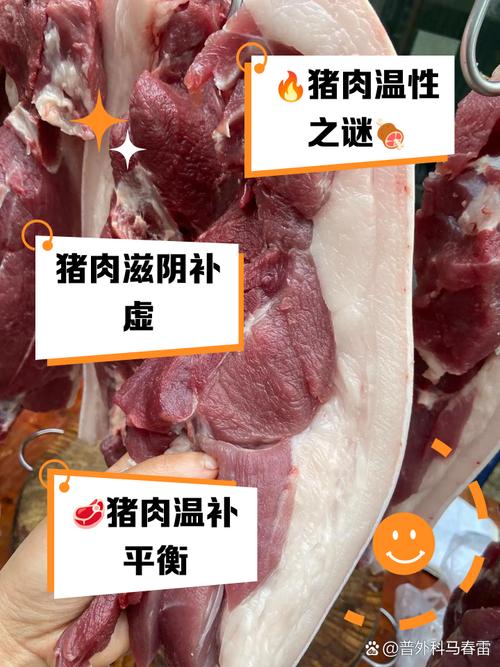 猪肉是寒性还是温性（猪肉寒热属性与暖性烹调调味法，姜蒜搭配更适合）