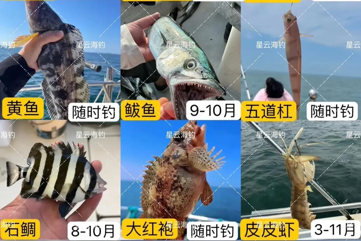 海钓饵料能钓淡水鱼吗（海钓饵料全攻略淡水季节搭配与寒季高蛋白诱鱼秘诀）