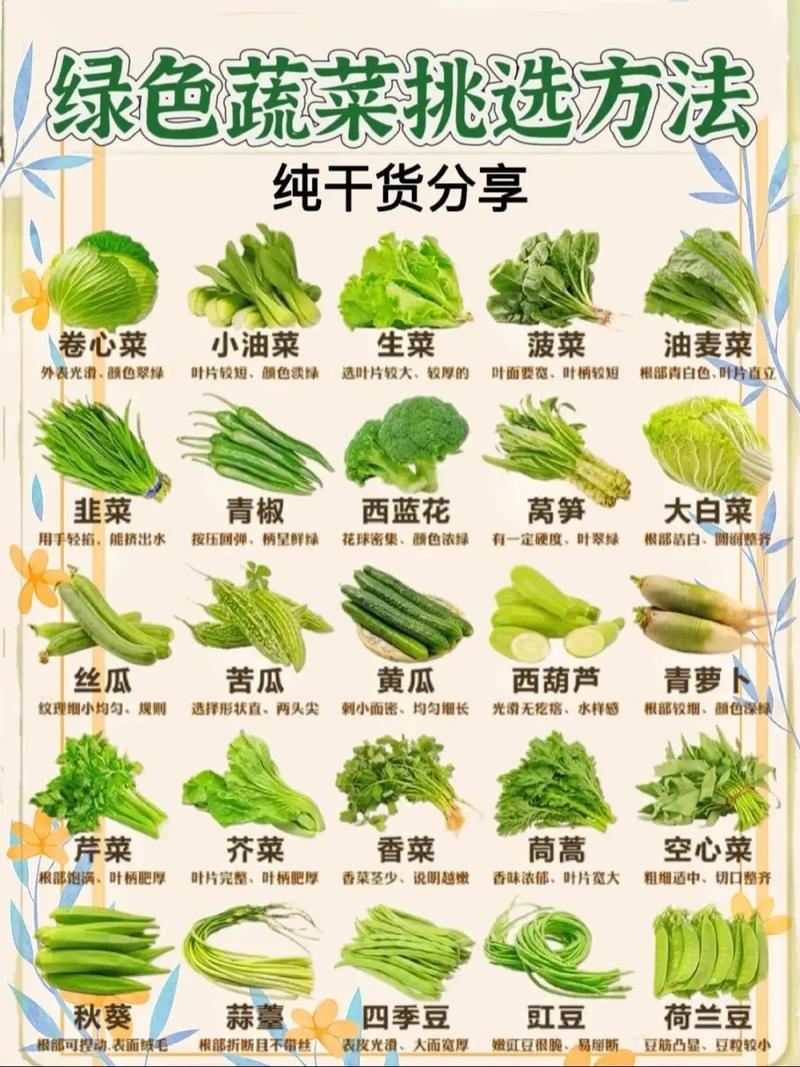 什么蔬菜能放久一点（每日300–500克，分区存放优先）