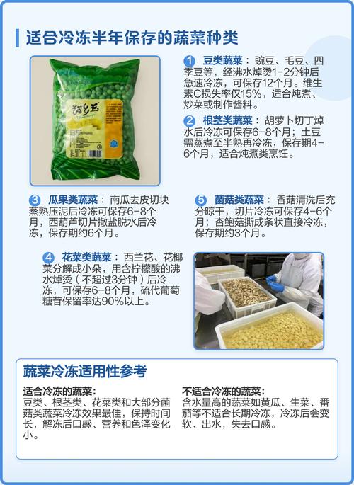 100种蔬菜冷冻保存方法（蔬菜冷冻保鲜全攻略快速降温控水密封与焯水要点）