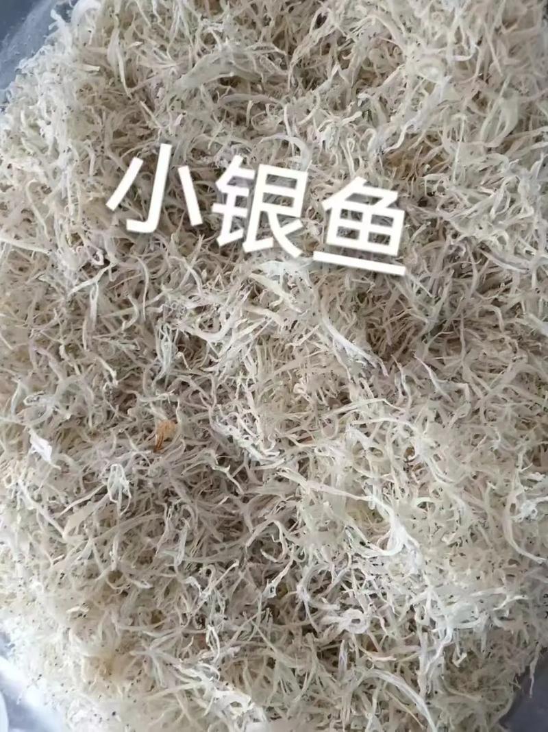 小银鱼是世界上最脏的鱼吗（银鱼透明体态并非不洁，关注产地与检测报告）