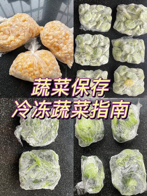 蔬菜能冷冻吗（快速冷冻蔬菜保鲜与储存要点）